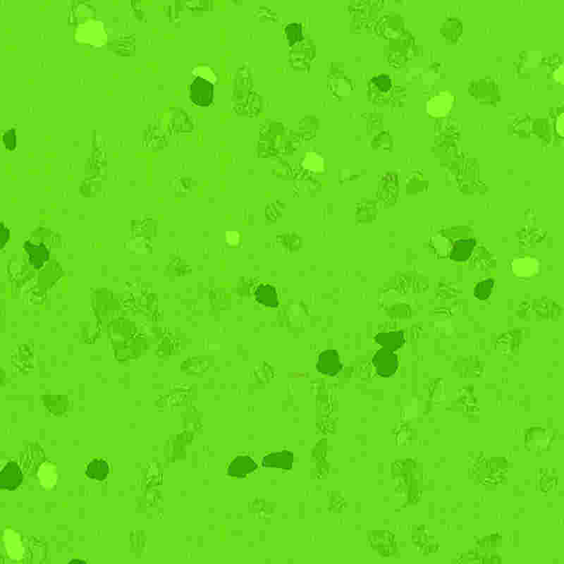 کفپوش لاستیکی ضد خش و کشسانی بالا