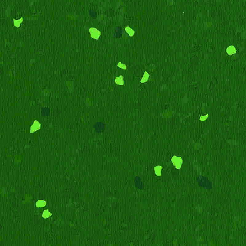 کفپوش لاستیکی ضد خش و کشسانی بالا